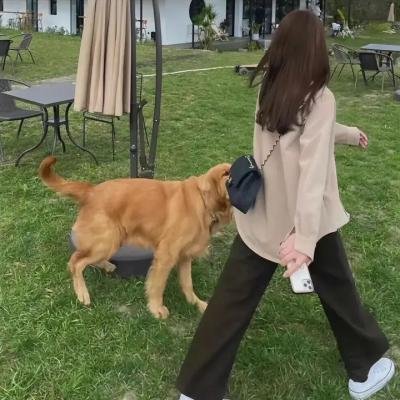 实习女捕快