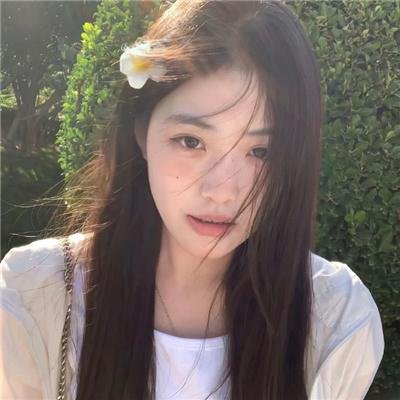 爱是一只猫